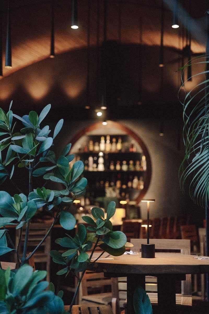 Katana Asian Cuisine - Santa Teresa - Costa Rica - Booked ai