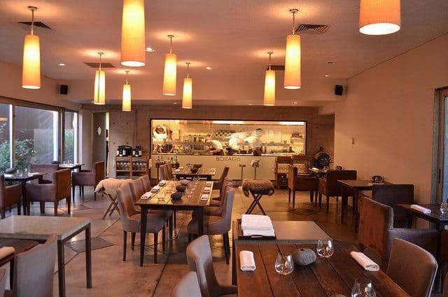 Boragó - Vitacura - Chile - Booked ai