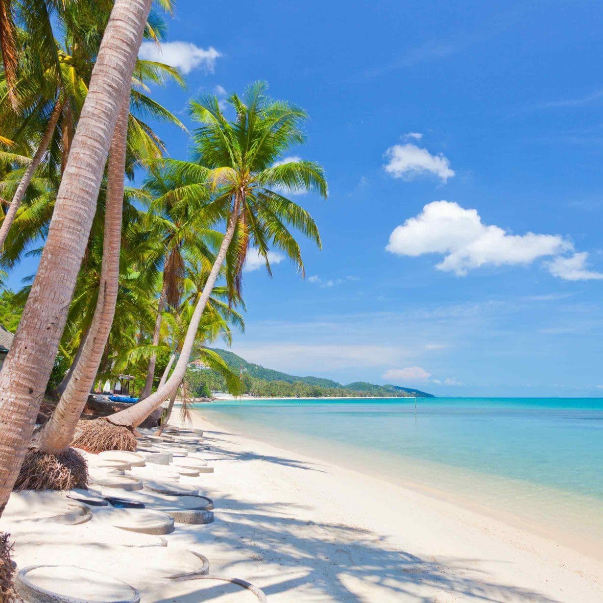 Is Koh Samui Worth Visiting? Here’s Why This Island Paradise Should Be on Your List