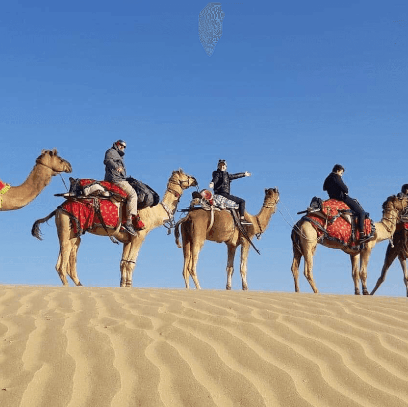 Camel Safari in the Thar Desert