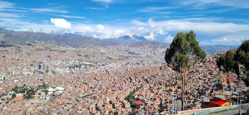 Explore the Witches' Market (Mercado de las Brujas)