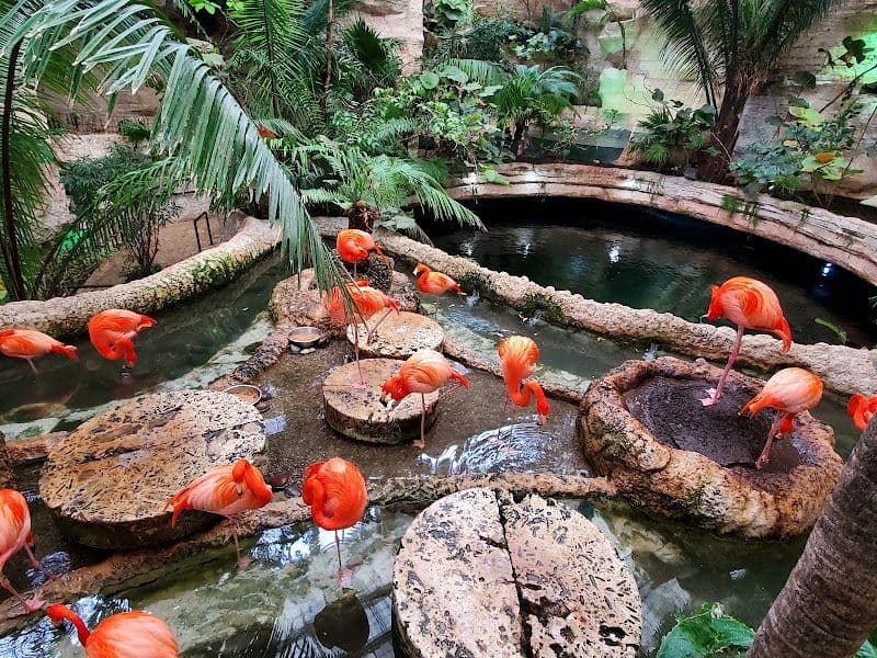 Dallas World Aquarium