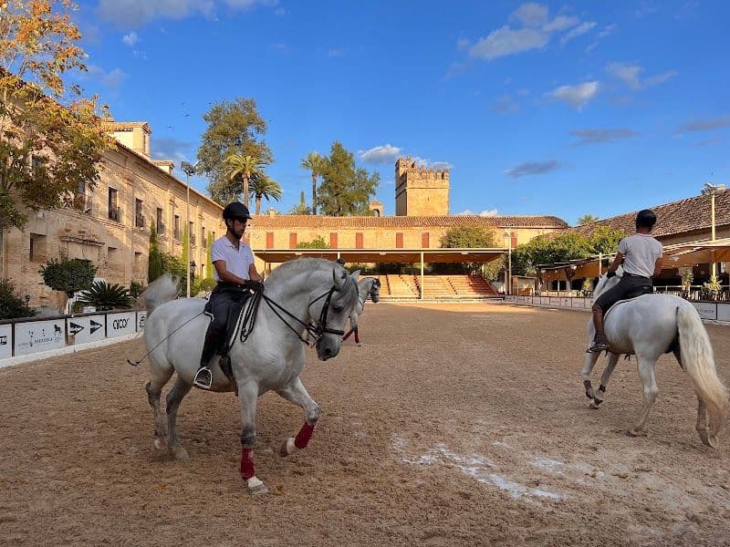 Córdoba Horseback Riding Experience