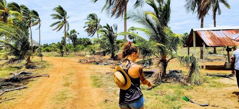 Visit the Coconut Cultural Park