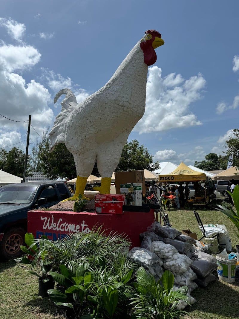 Denbigh Show Ground - May Pen - Jamaica - Booked ai
