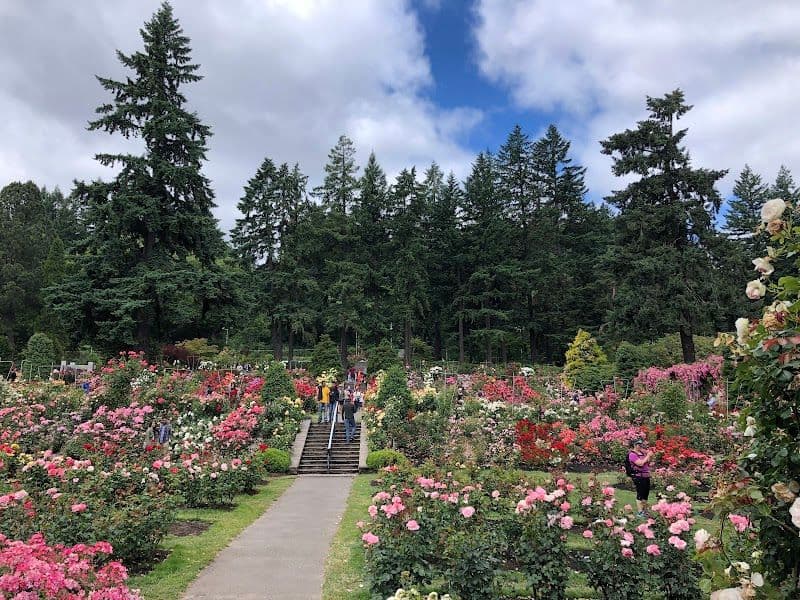 International Rose Test Garden - Portland - USA - Booked ai