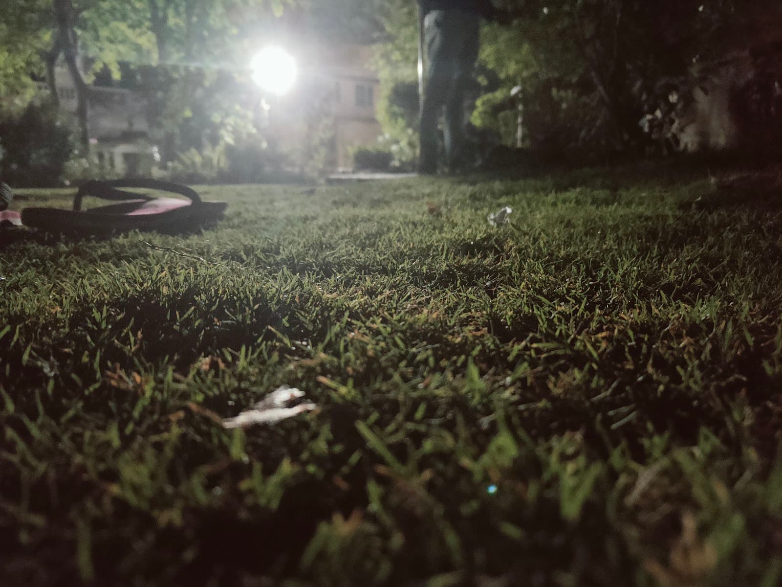 Bal Garden - Udaipur - India