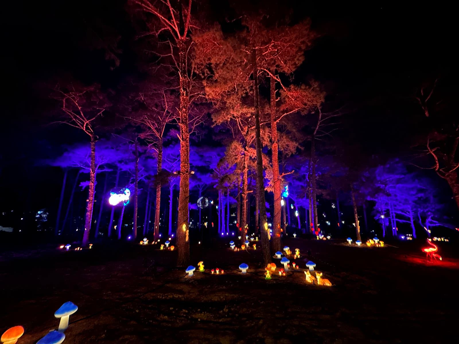 Công viên văn hóa vui chơi giải trí Delight Dalat - Dalat - Vietnam