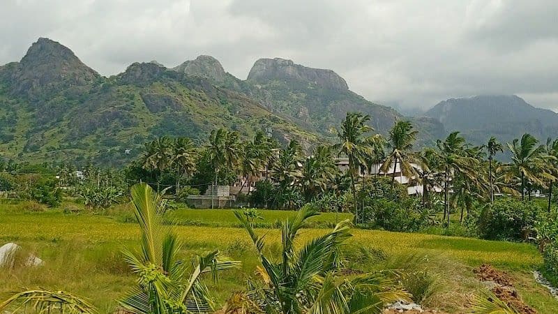 Nagercoil Unveiled - Top Hidden Gems to Explore