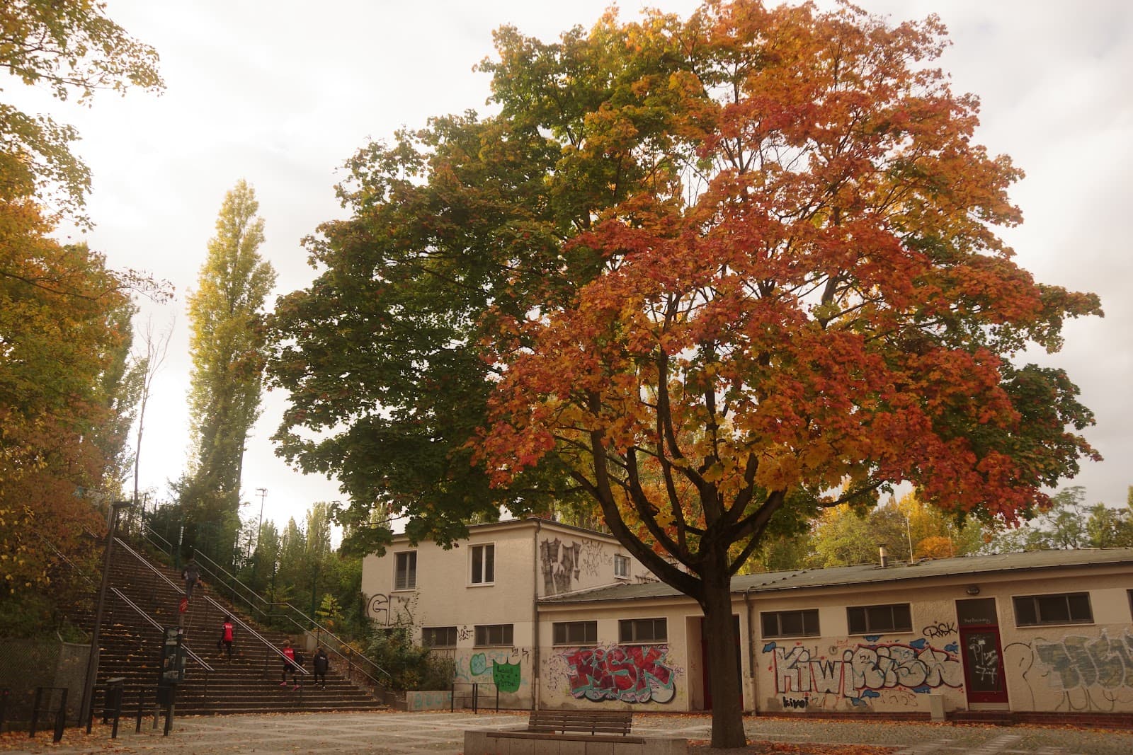 Fritz-Schloß-Park - Berlin - Germany