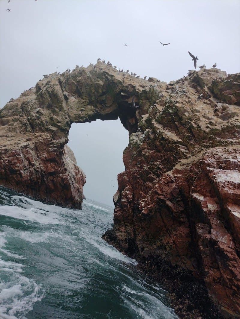 When to Visit Ica: A Travel Guide