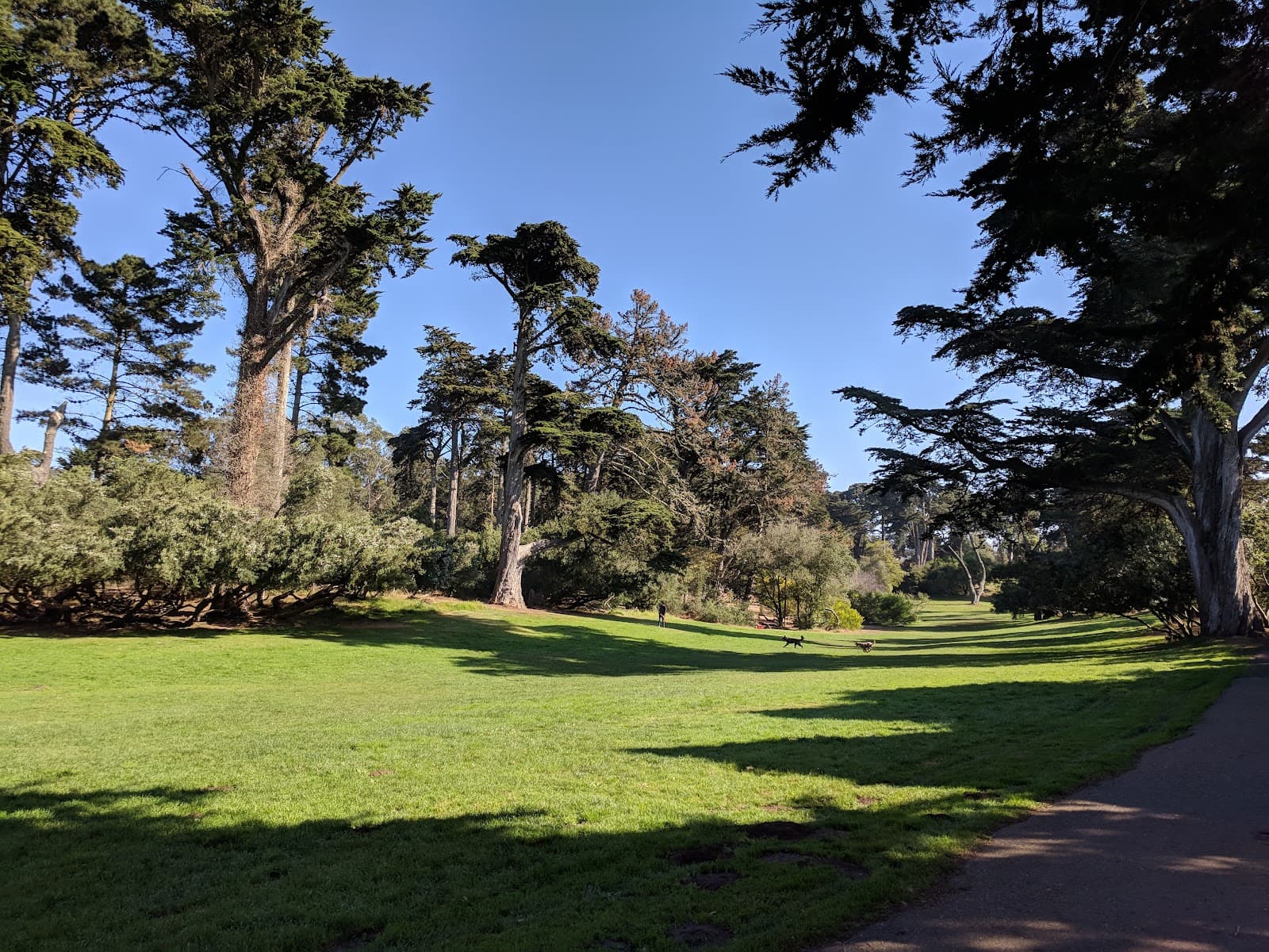 Mountain Lake Park - San Francisco - United States