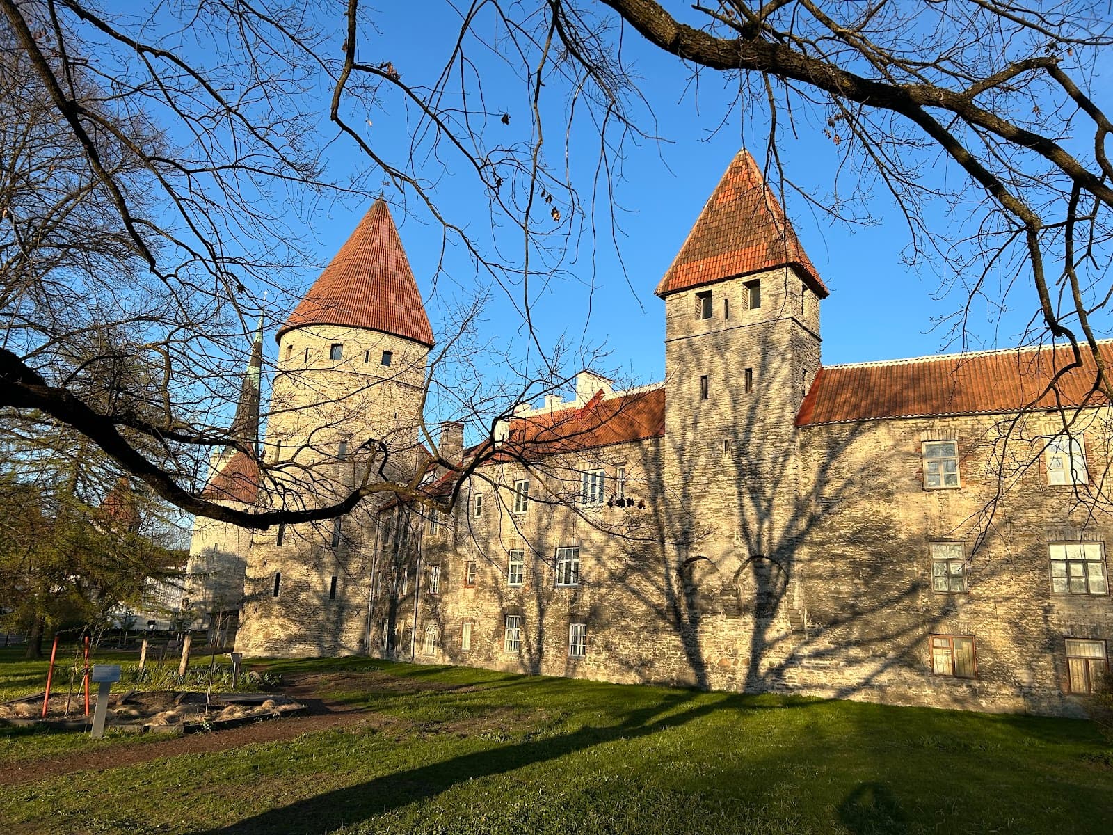 Town Hall tower & Old Thomas - Tallinn - Estonia