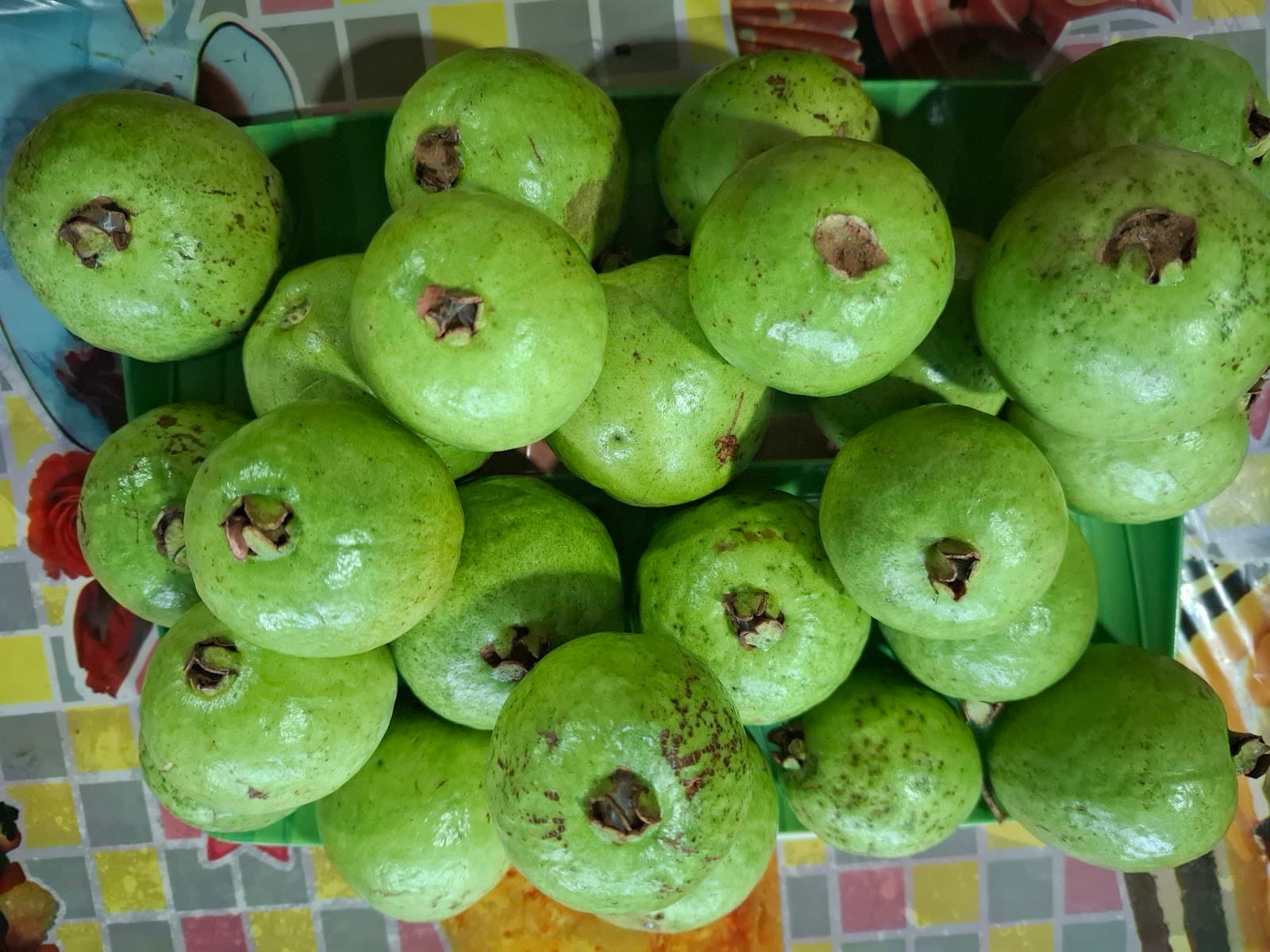 Victoria Guest House - Pasikuda