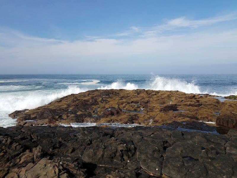 Ex-Island Alacran - Arica - Chile - Booked ai