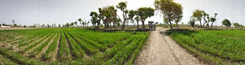 Top Hidden Gems in Mirpur Khas