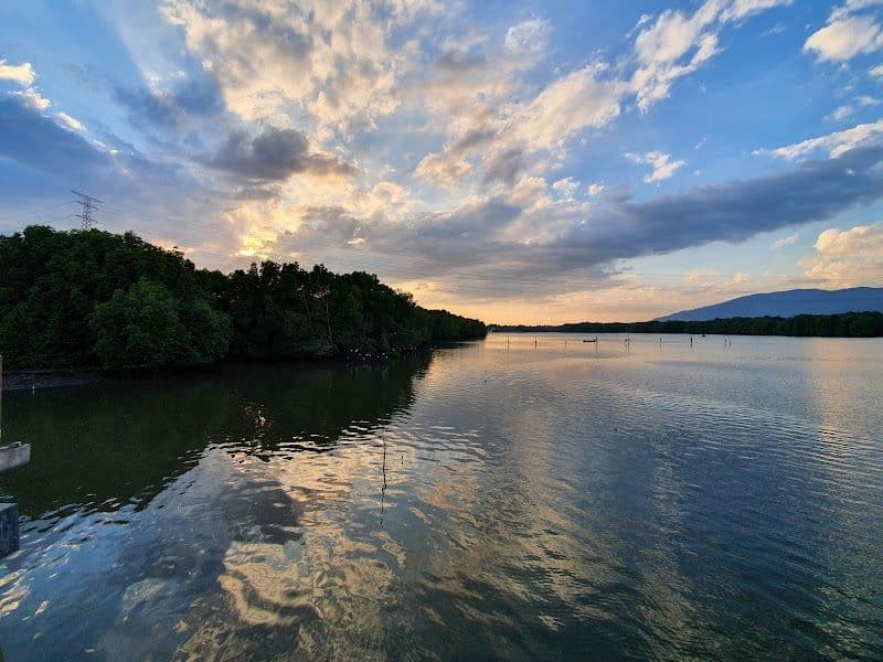 Sungai Merbok Mangrove Forest Reserve - Sungai Petani - Malaysia - Booked ai