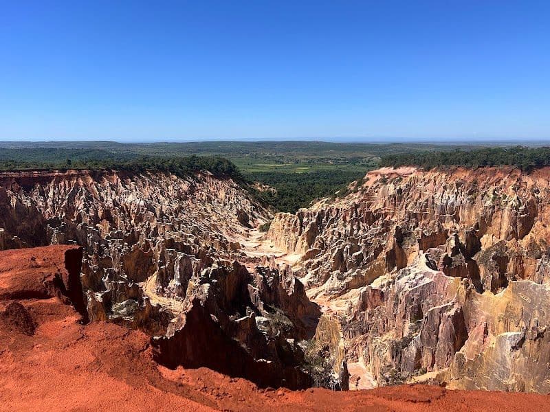 Ankarafantsika National Park - Madagascar - Madagascar - Booked ai