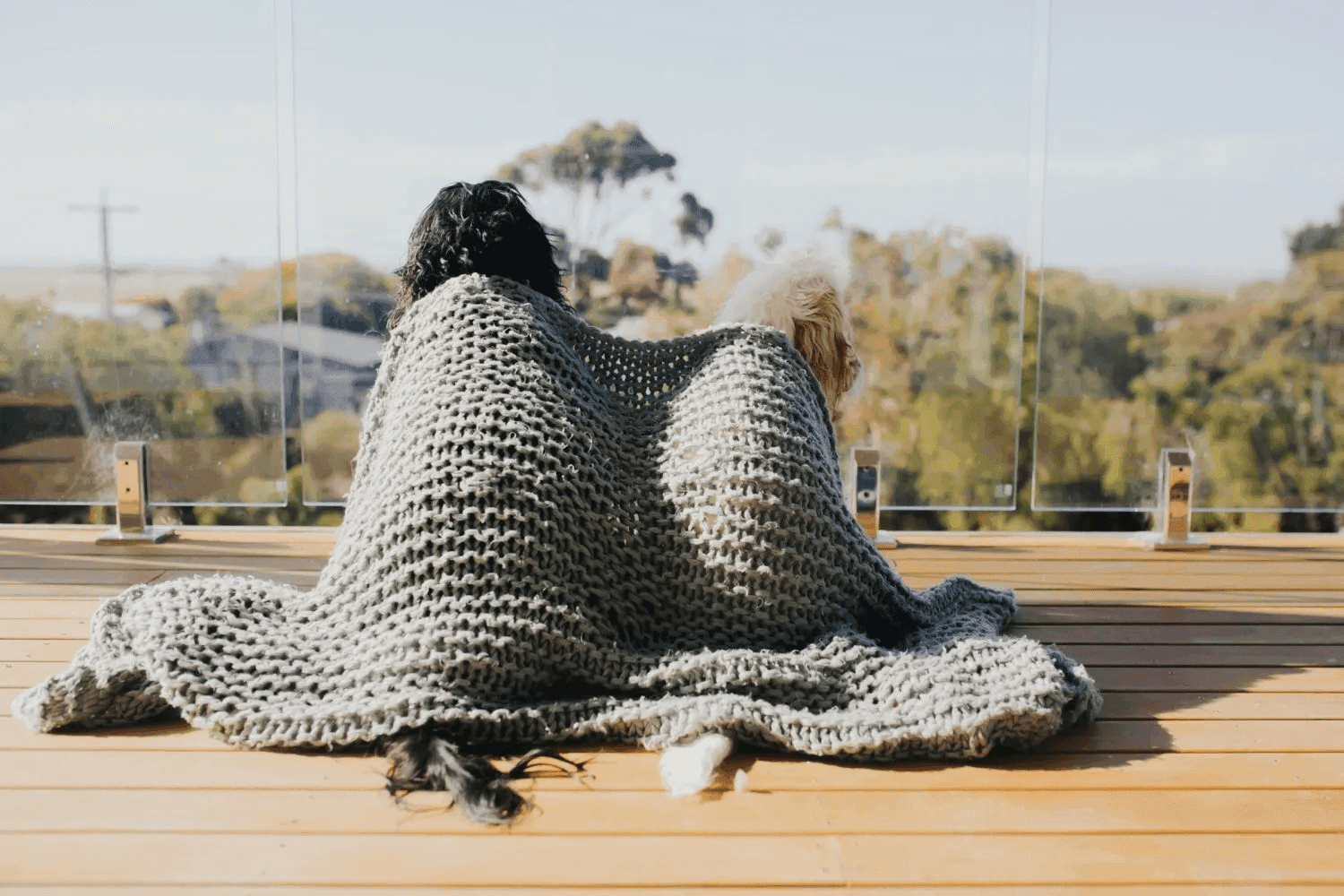 Pet-Friendly Activities and Attractions