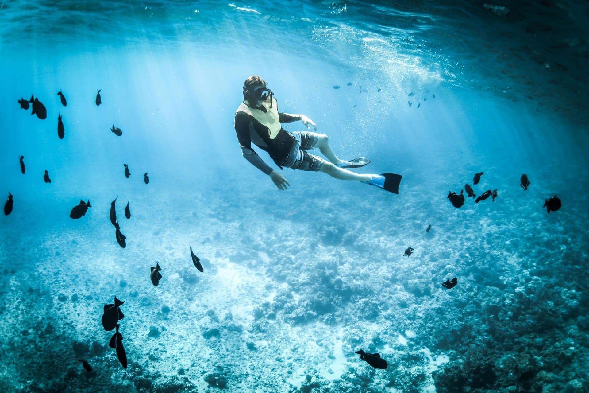 AI Travel Guide to the World’s Best Diving and Snorkeling Spots