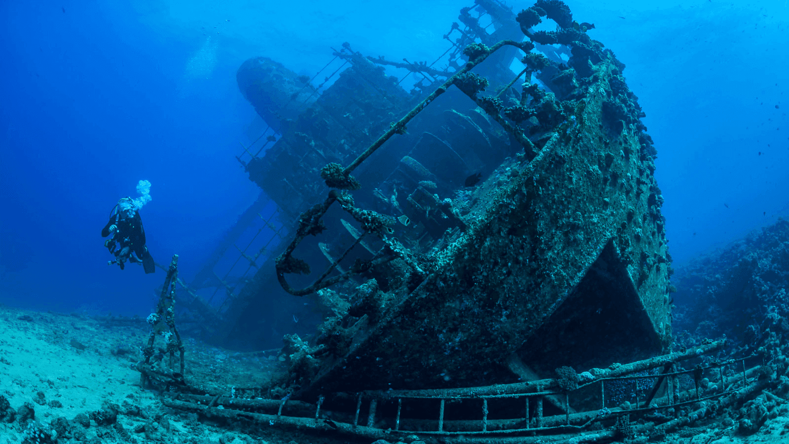 5. The Red Sea, Egypt