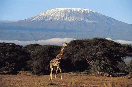 An AI Travel Guide to Remote Villages and Volcano Hikes in Africa