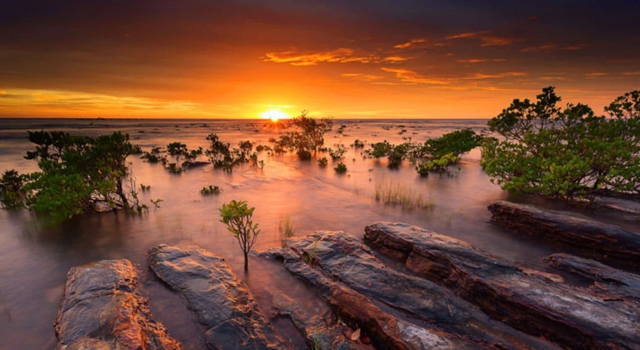 Why Use AI Flights to Find the Best Deals to Perth and Darwin?