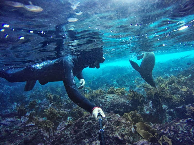 Poor Knights Islands, New Zealand