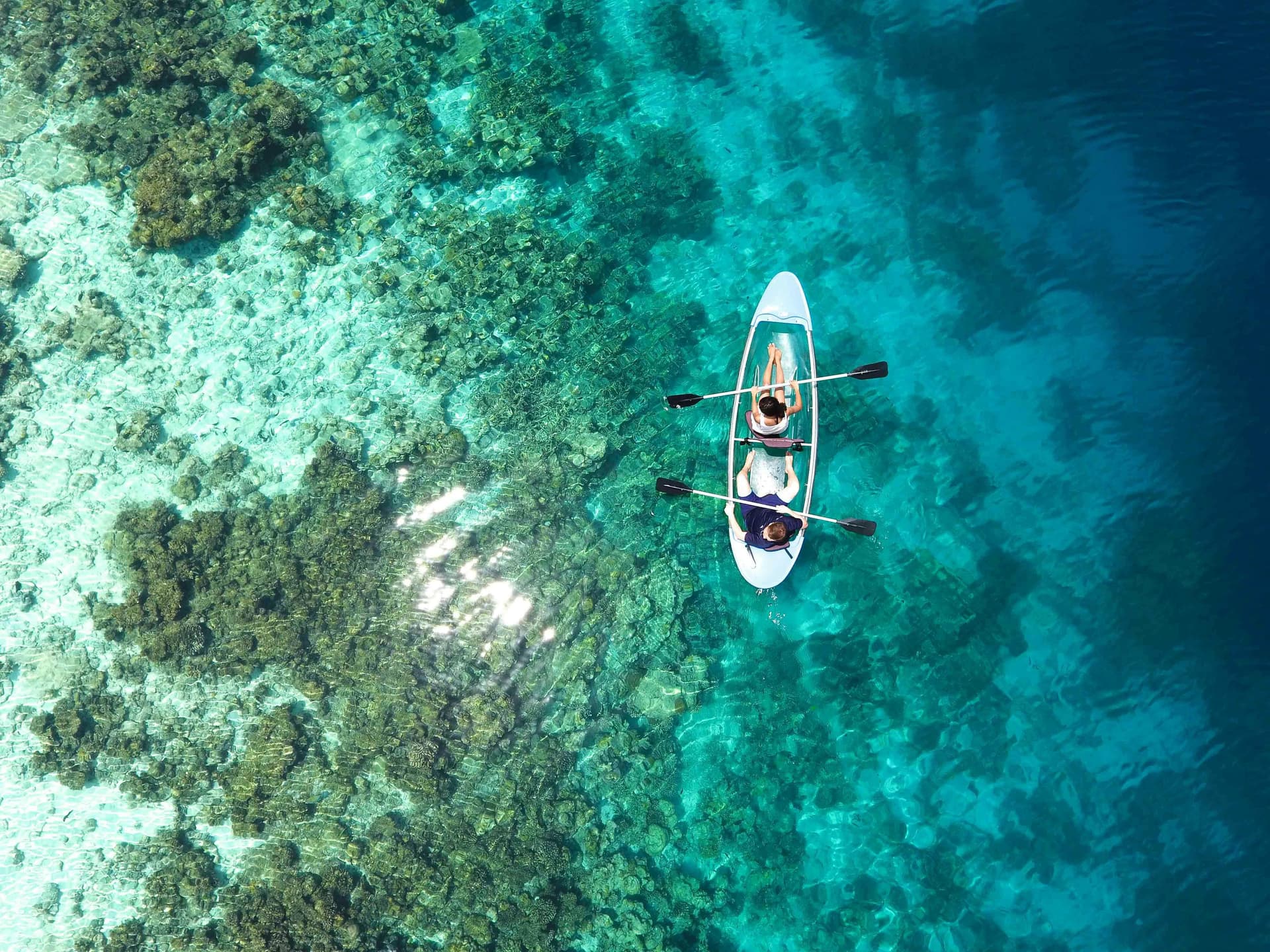 The Ultimate Guide To Visiting The Great Barrier Reef