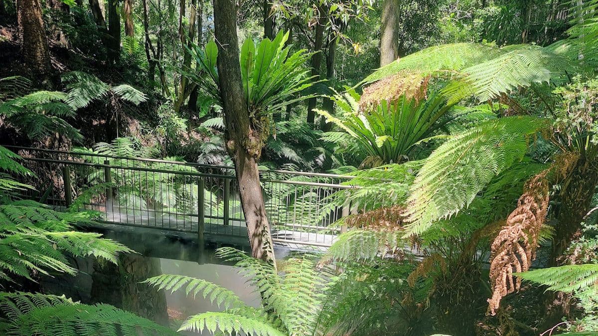 The Australian National Botanic Gardens: A Garden Wonderland