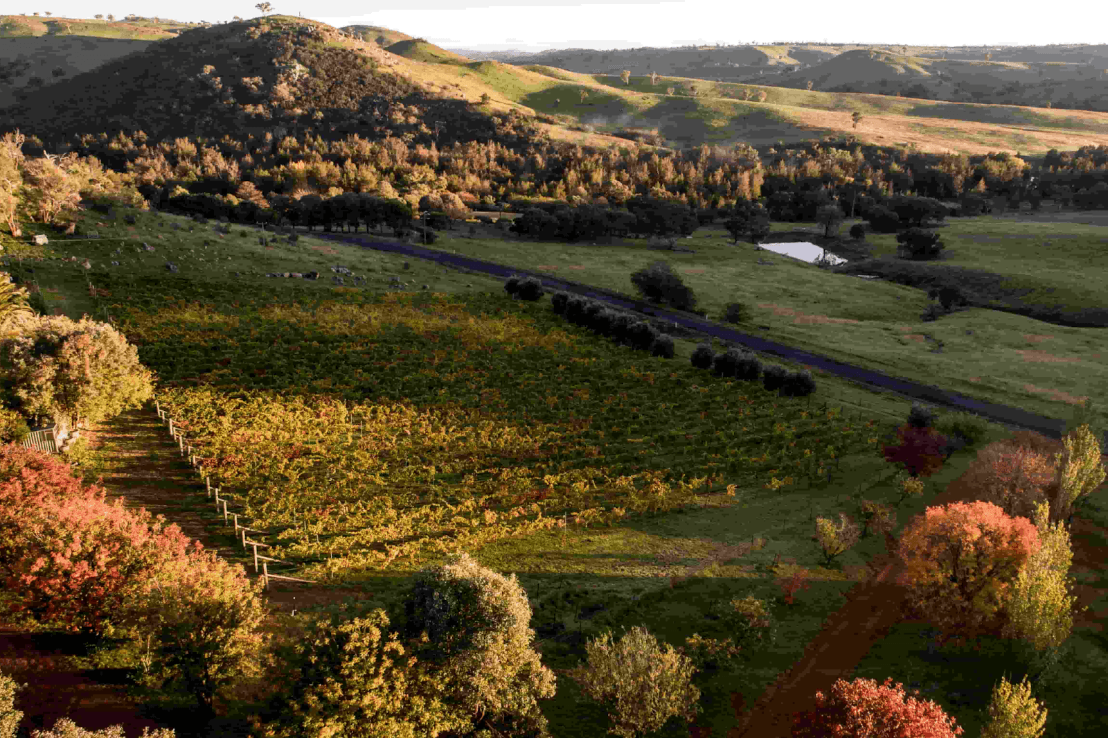 The Best-Kept Secrets Of The Canberra Wine Region