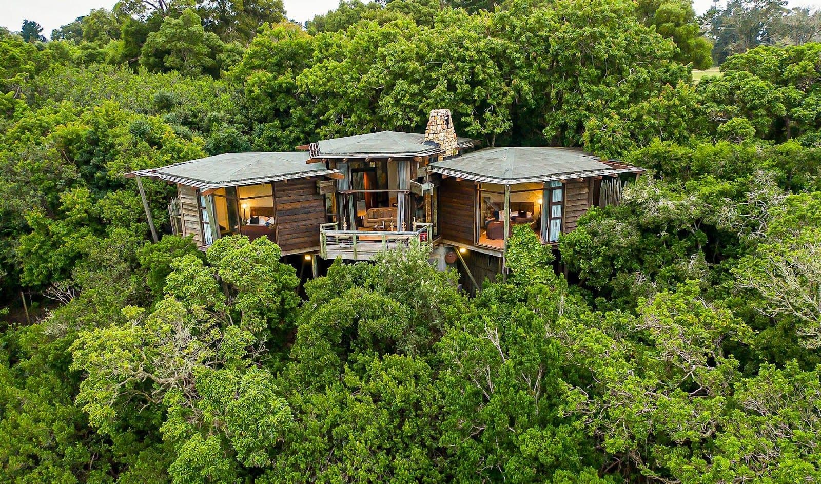 Tsala Treetop Lodge – Plettenberg Bay, South Africa