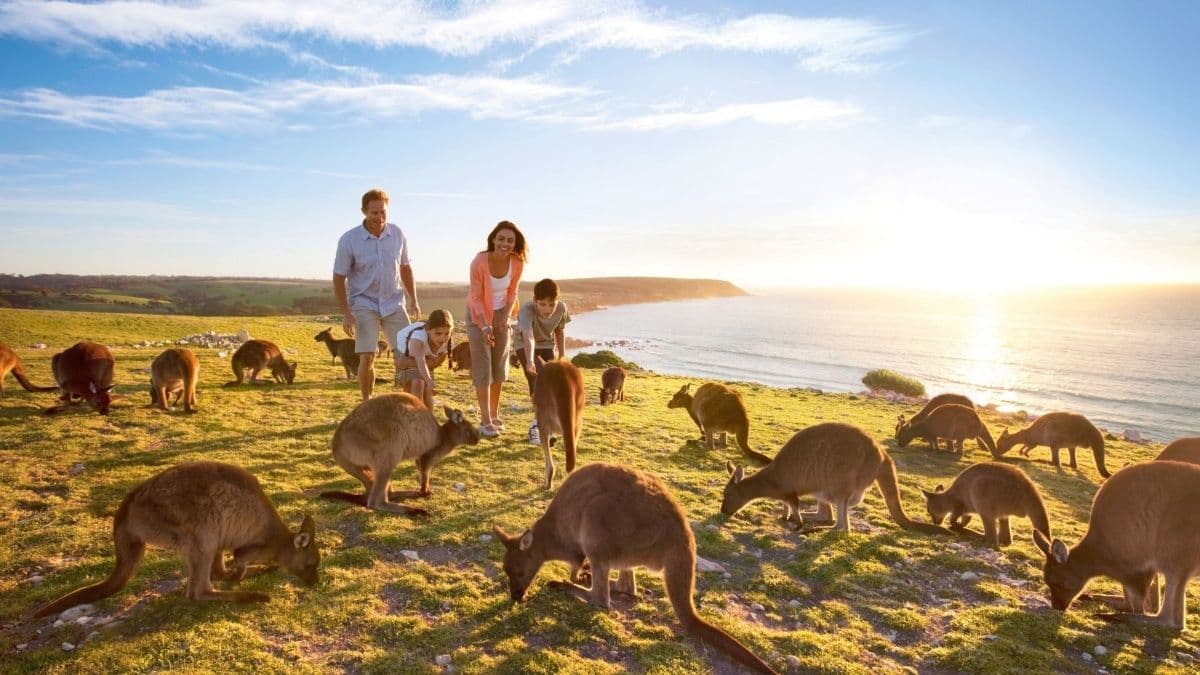 When Is The Best Time To Visit Kangaroo Island?