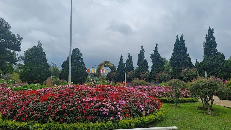 Stroll around Xuan Huong Lake and the Dalat Flower Garden - Dalat - Vietnam