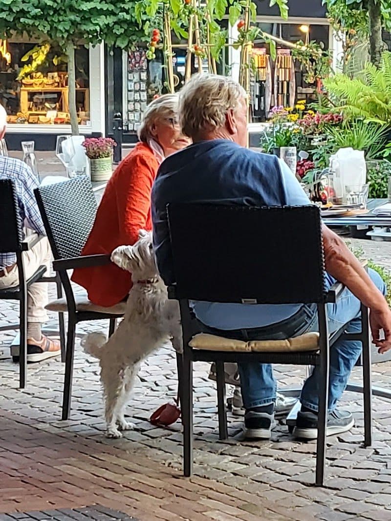 De Pastorie - Ootmarsum - Netherlands