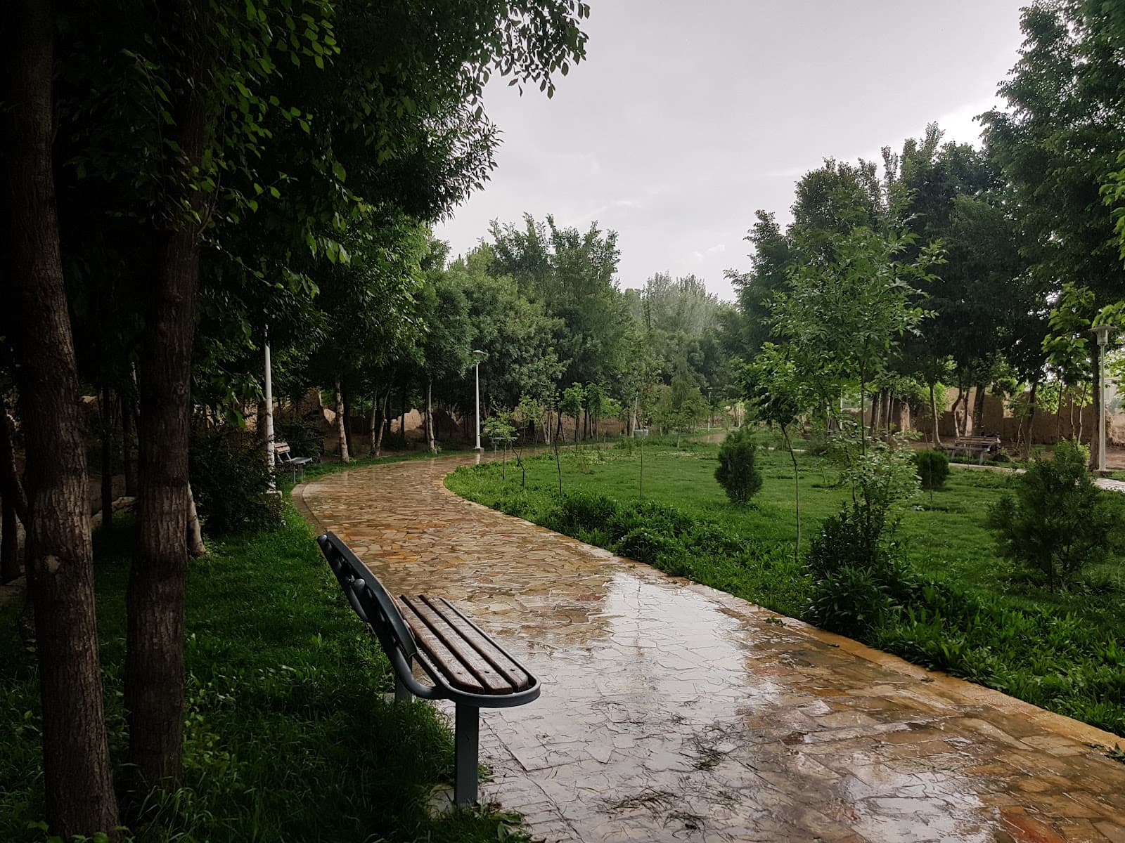 Garden Lights - Isfahan - Iran