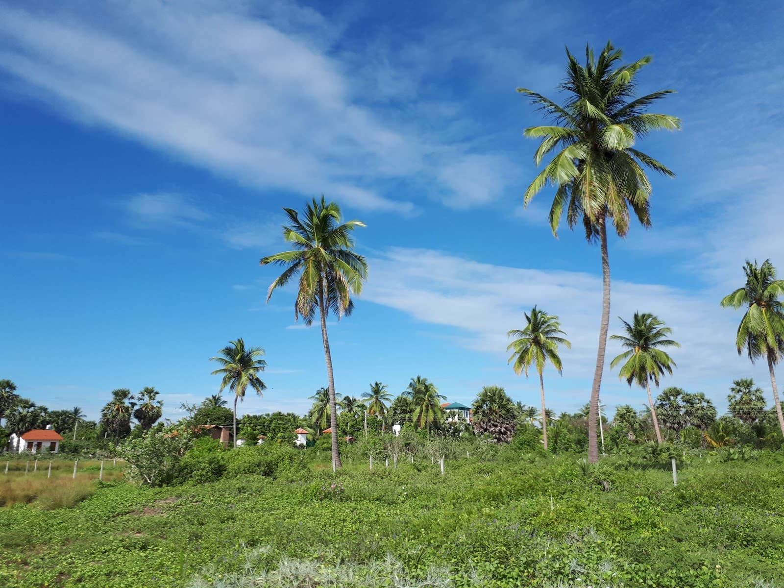 Nirmaa Shadow Inn - Pasikuda