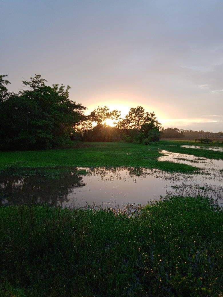 Barisal Treasures - Exploring the City's Hidden Gems