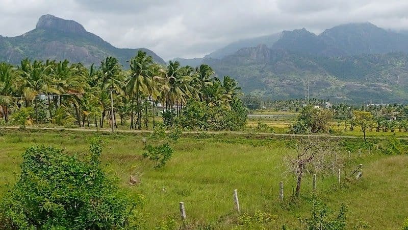 Exploring Nagercoil: Top Activities and Attractions