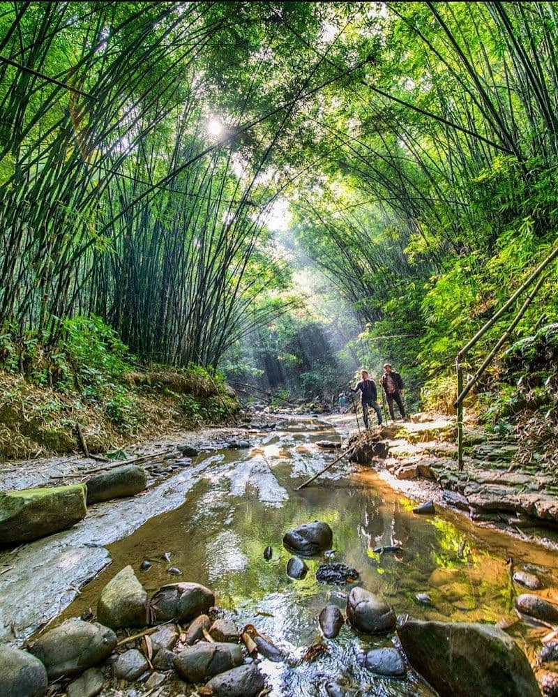 Sylhet's Untouched Treasures - Discover Hidden Gems