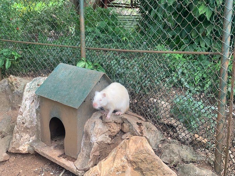 Ciego de Avila Zoo Park Complex - Ciego de Avila - Cuba - Booked ai