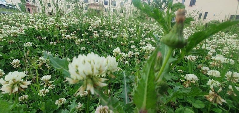 Gujranwala Uncovered - Top Hidden Gems to Explore