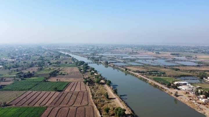 Top Times to Visit Vehari