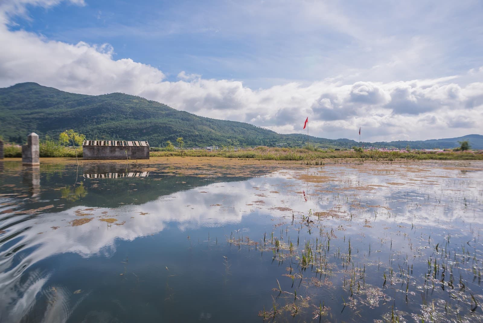 Lijiang Lashihai Wetland Park - Lijang - China