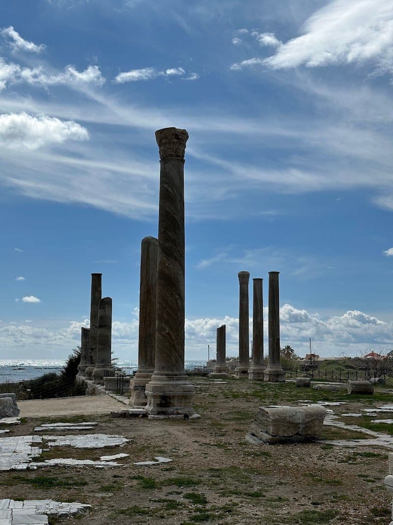 Entrance to the Tyre Al-Bass World Heritage Site - Tyre - Lebanon - Booked ai