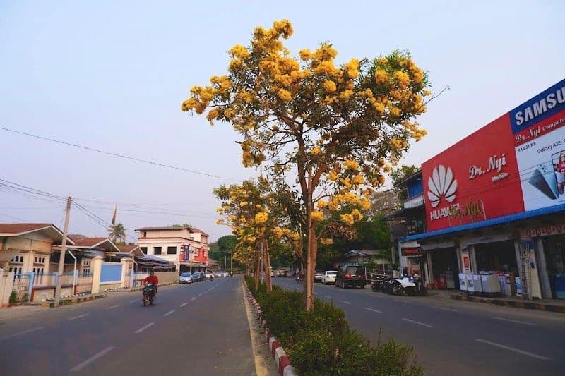 Ultimate Guide to Visiting Myitkyina