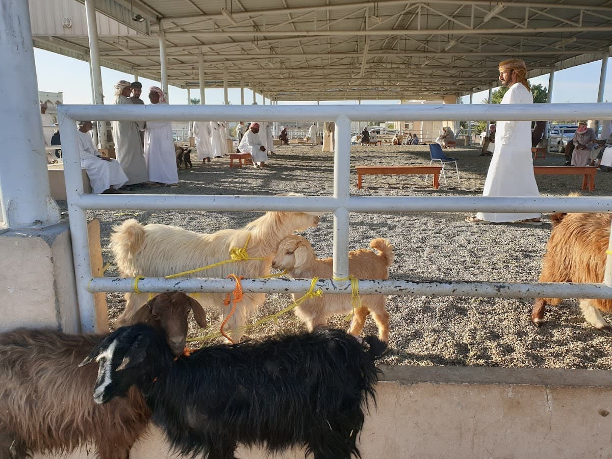 Things to Do in Ibri