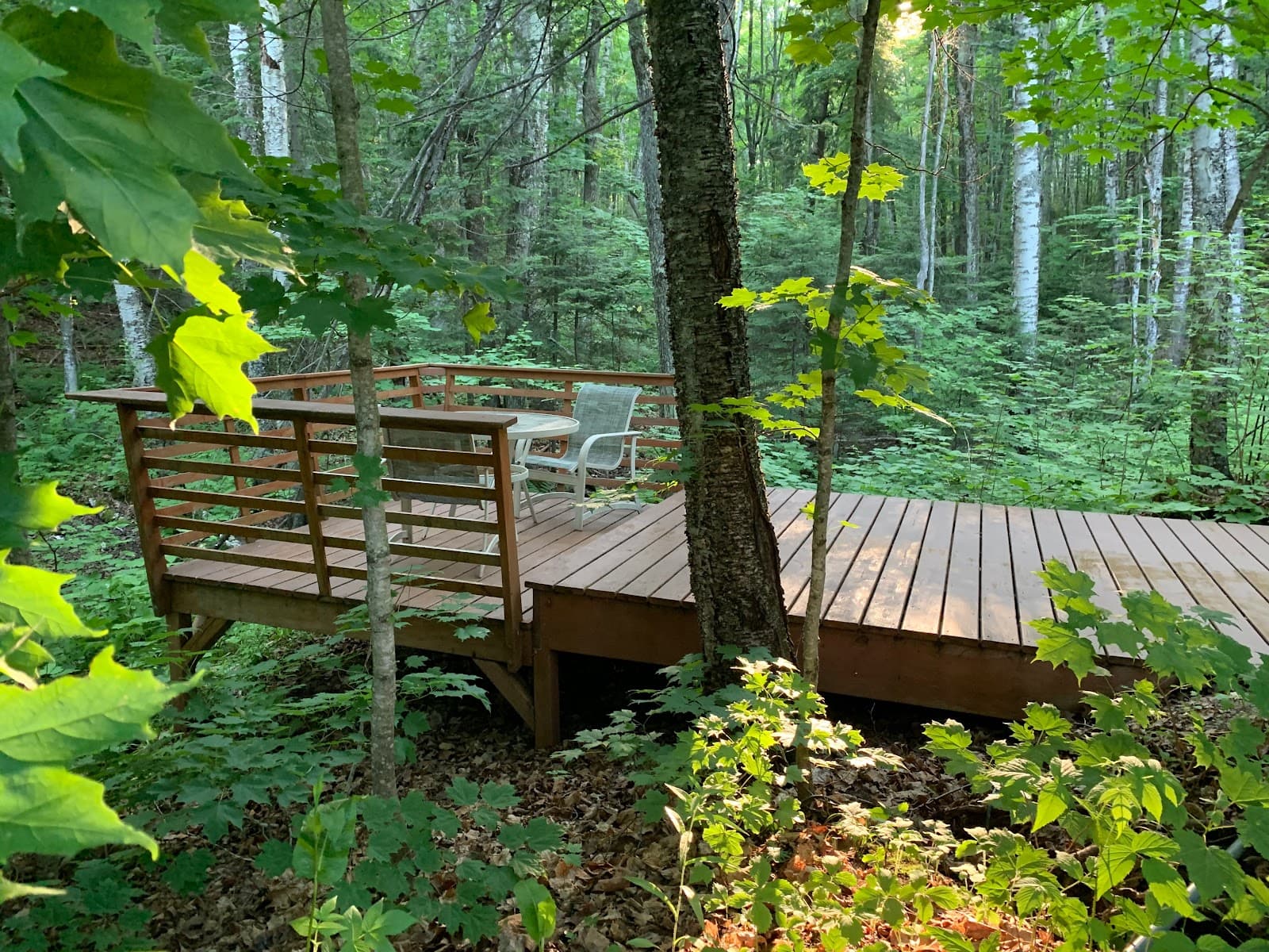 Hauser's Bayfield Cabin - Bayfield - USA