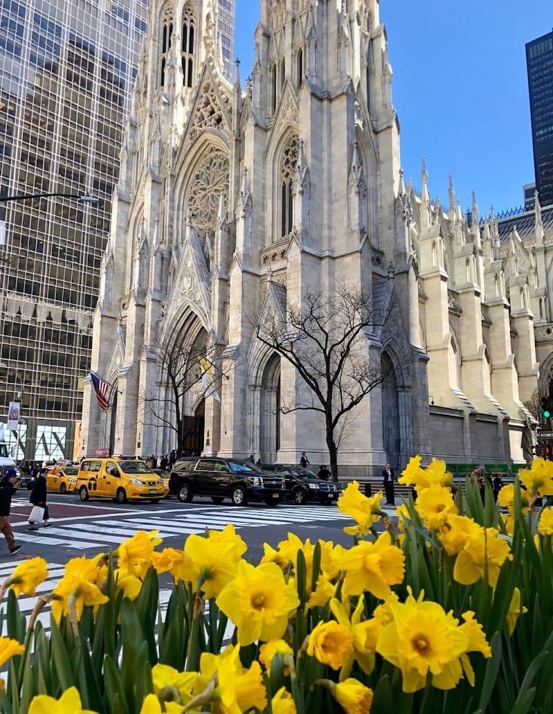 Hidden Gems to Explore in New York