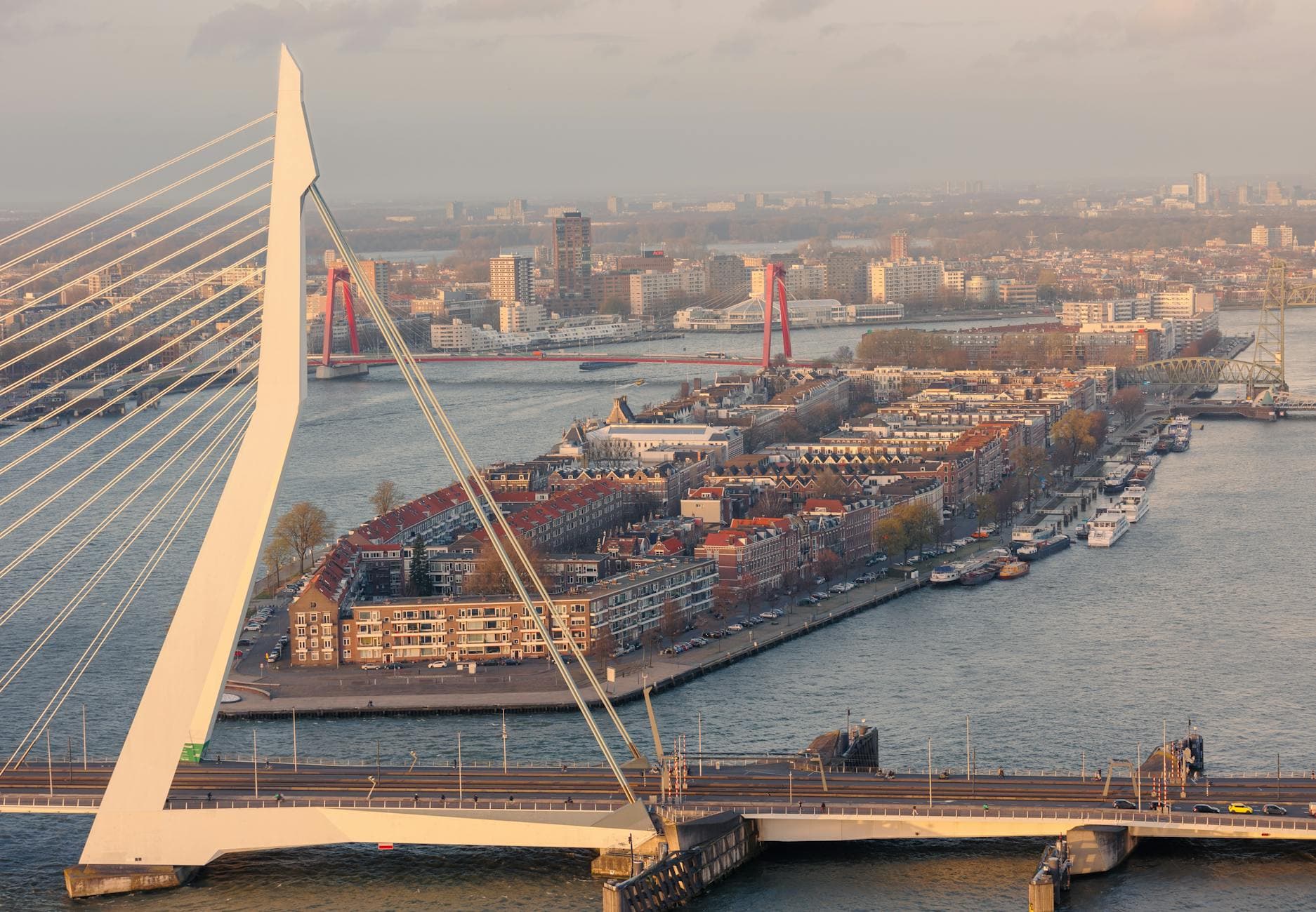 Best Time to Visit Rotterdam